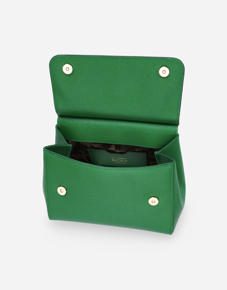 Dolce & Gabbana BORSASPALLA-TRACOLLA Green BB6003A1001