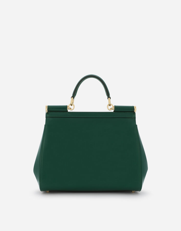 Dolce & Gabbana BORSA A MANO Green BB6002A1037