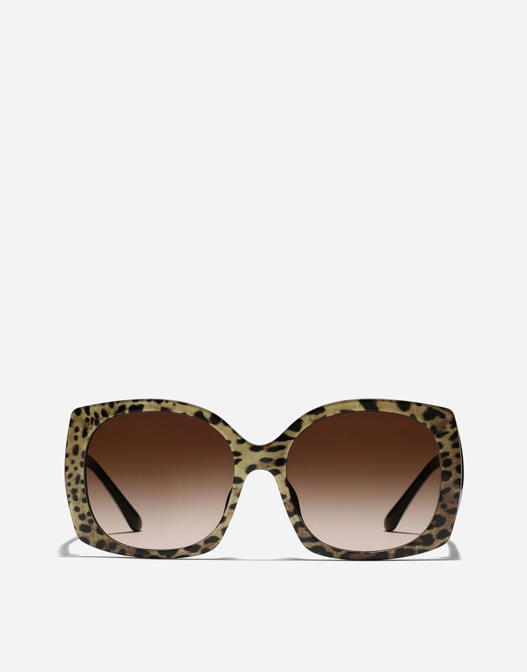 Dolce & Gabbana Lunettes de soleil Print family Imprimé Léopard VG4385VP313