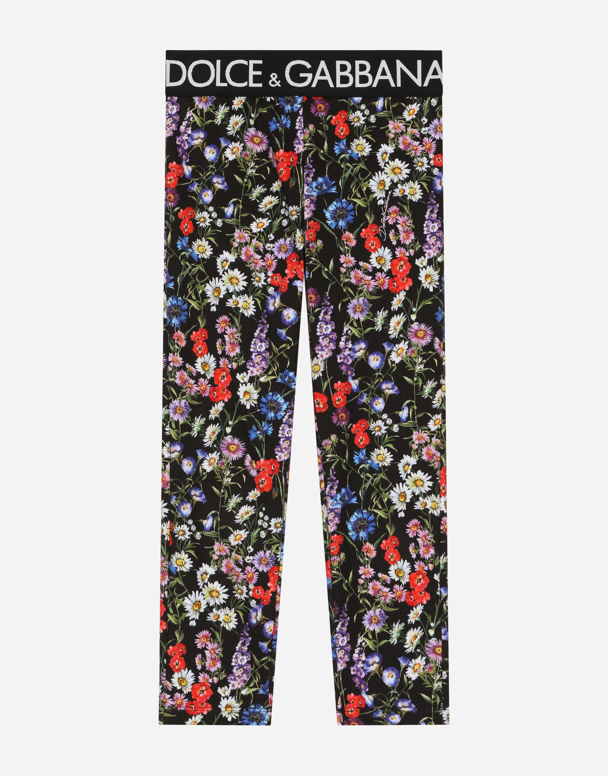 Dolce & Gabbana Interlock leggings with meadow flower print Print LB7A19HS5QR