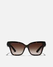 Dolce & Gabbana DG Precious sunglasses Transparent camel VG4467VP203