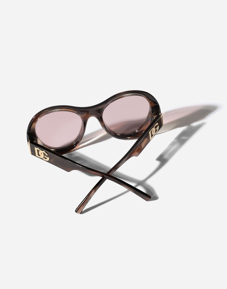 Dolce & Gabbana Re-Edition Sunglasses Camel havana VG4550VP084