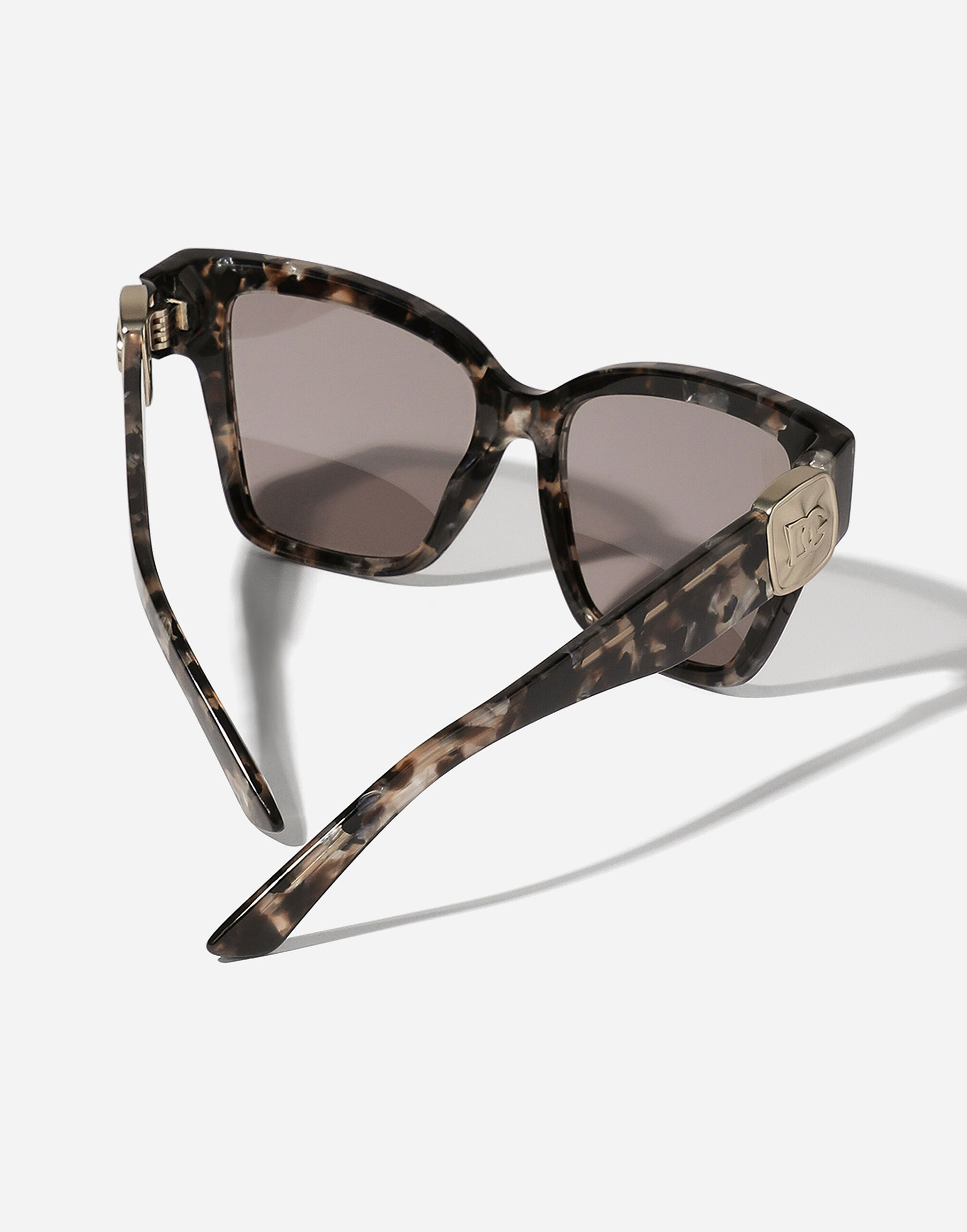 DG Precious sunglasses in Havana brown pearl for Women Dolce Gabbana US