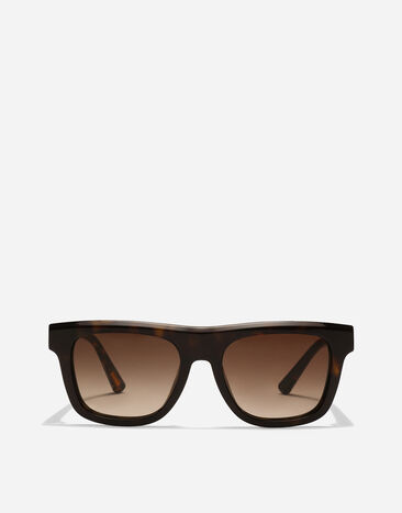 Dolce & Gabbana Sunglasses Private Wardrobe Havana VG4521VP273