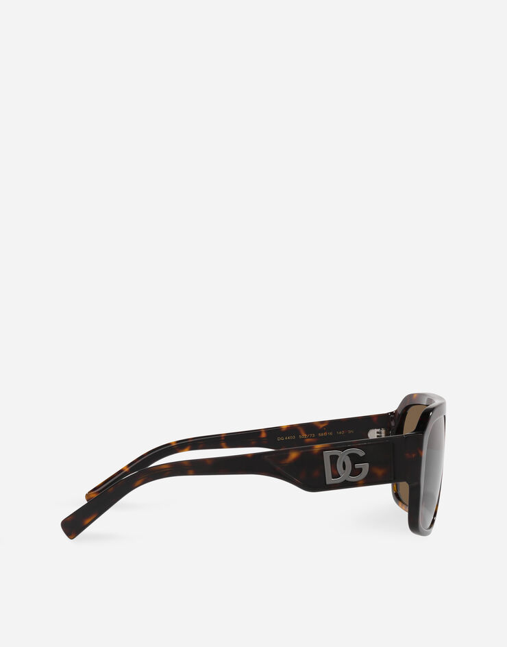 DG Crossed sunglasses in Havana for | Dolce&Gabbana® US