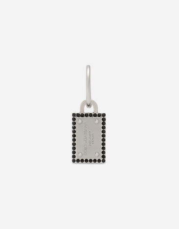 Dolce&Gabbana Pendiente de aro con placa con logotipo y strass Plateado WEP7T2W1111
