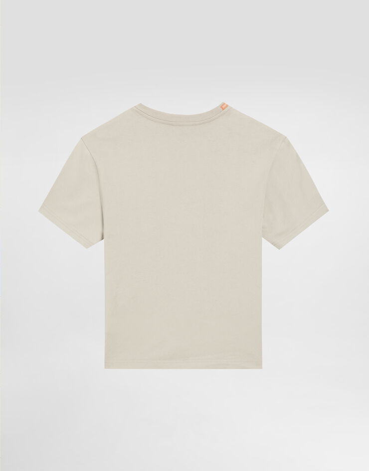 Dolce & Gabbana T-shirt con stampa DG bussola Beige L4JTHVG7PIR