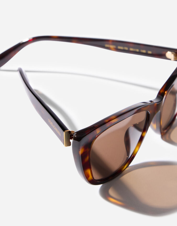 Dolce & Gabbana Everyday Sunglasses Havana VG4571VP273