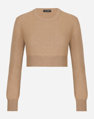 Dolce&Gabbana Cropped wool and cashmere round-neck sweater Beige FXL91TJFMR5