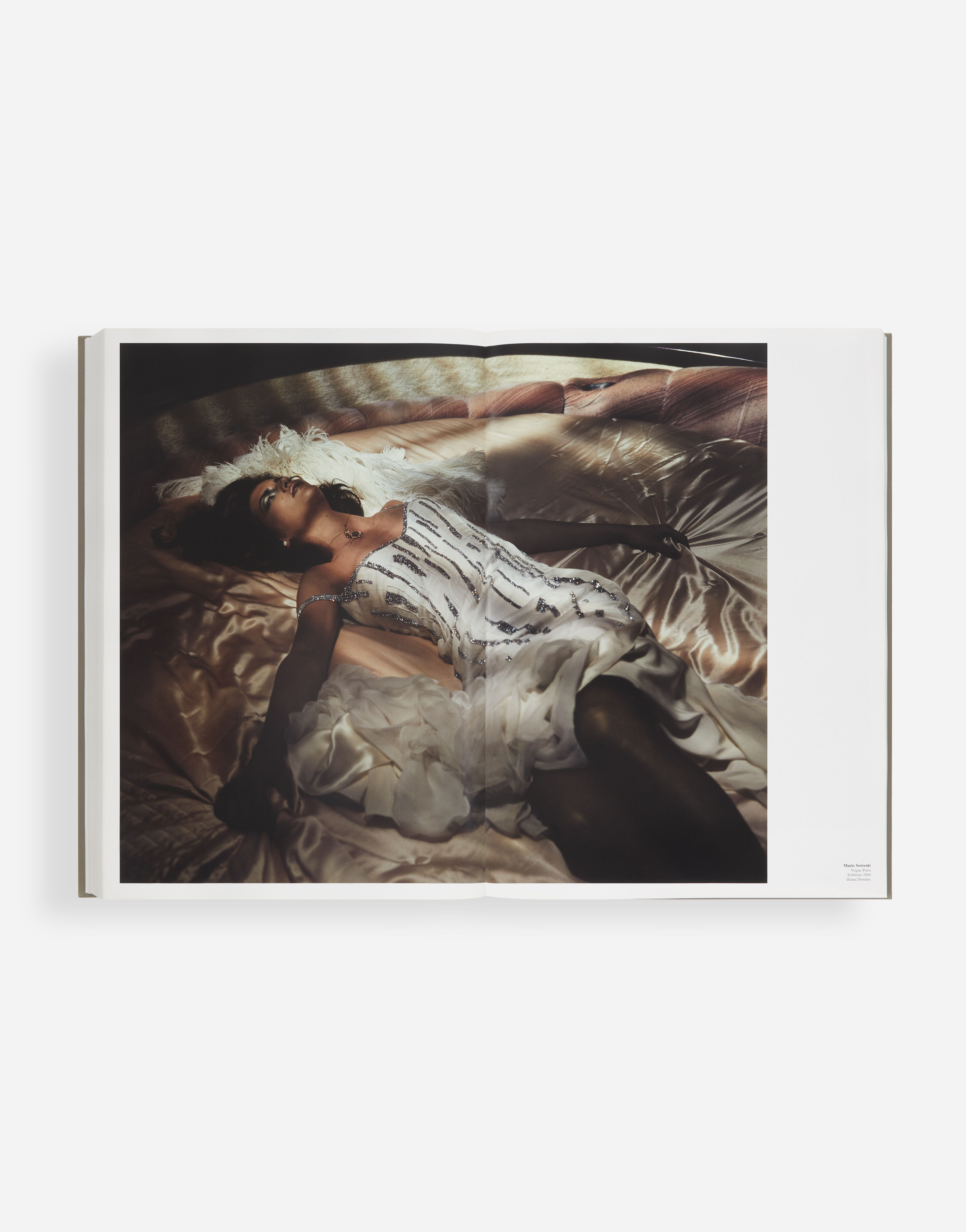 Dolce&Gabbana Fashion Album – Englische Ausgabe in Multicolor