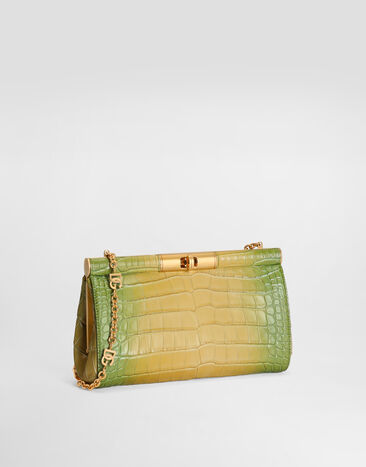 Dolce & Gabbana Marlene degradé alligator shoulder bag Multicolor BB7620A2H57
