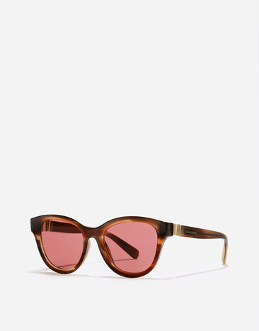 Dolce & Gabbana DG Hinge Sunglasses Striped brown VG4533VP175