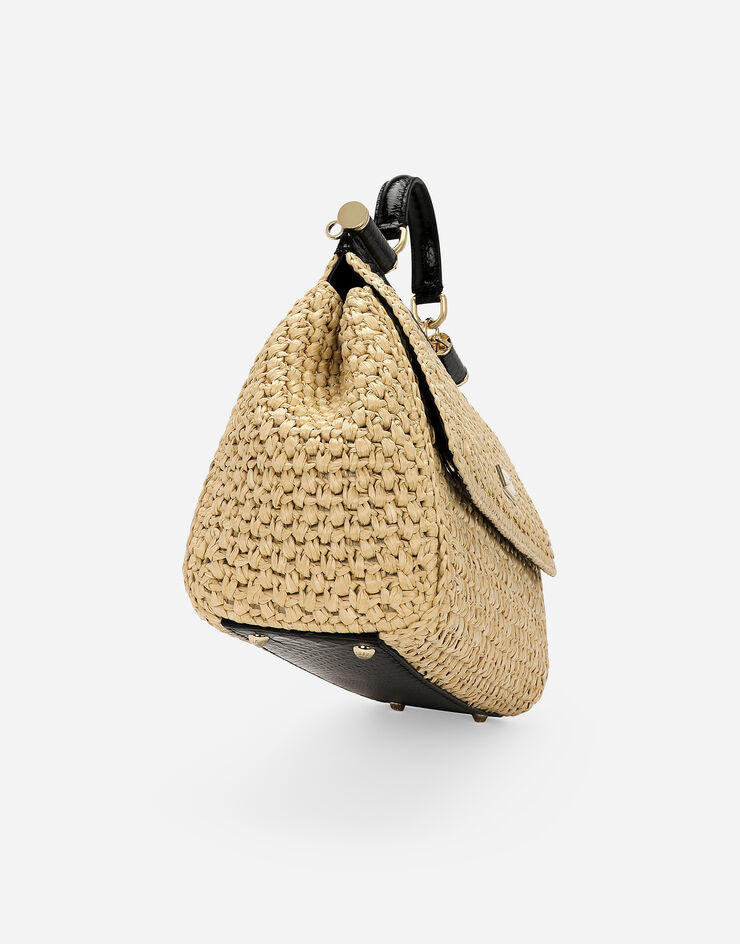 Dolce & Gabbana Bolso de mano Sicily grande Multicolor BB6002A2Y84