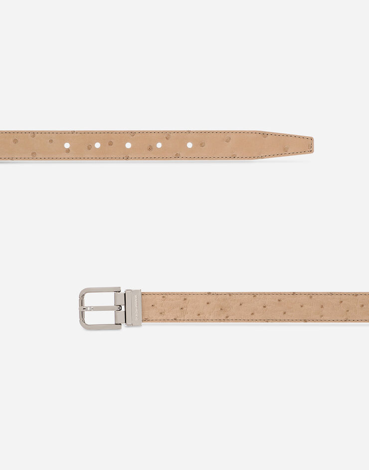 Dolce & Gabbana オーストリッチレザー ベルト Beige BC4337A8M90