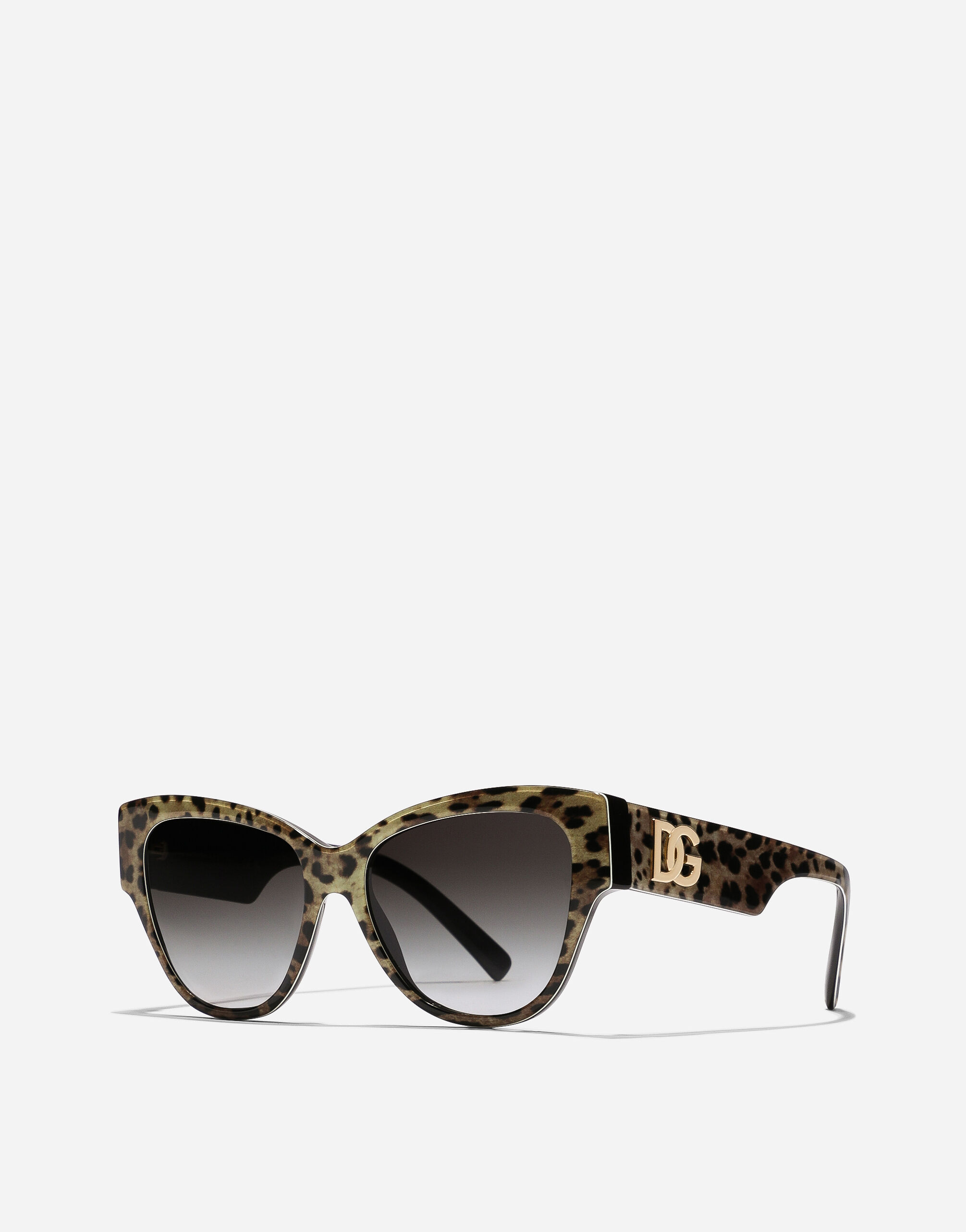 DG Logo sunglasses in Brown for Women Dolce Gabbana US