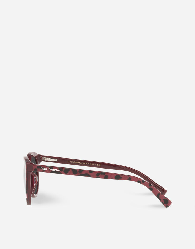Dolce & Gabbana Hot Animalier Sunglasses Estampado leopardo rojo VG4324VP087