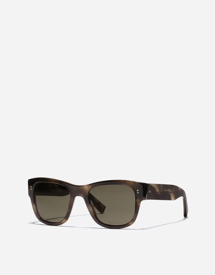Dolce & Gabbana DNA Sunglasses Green havana VG4338VP003