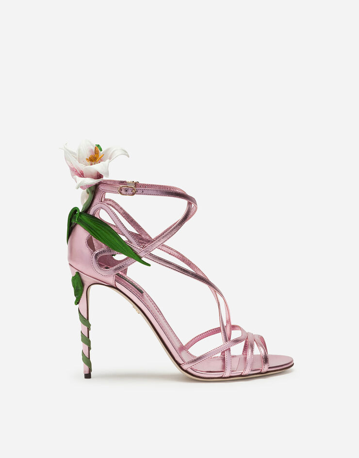 Dolce & Gabbana  PINK CR0565AA132
