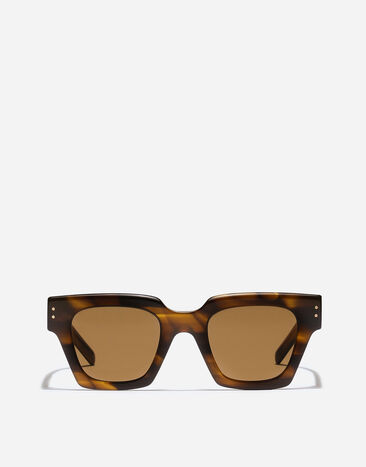 Dolce & Gabbana DNA Sunglasses Vintage havana VG4413VP373