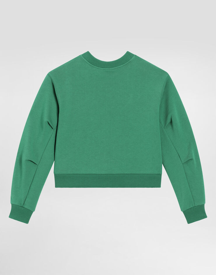 Dolce & Gabbana Round-neck sweatshirt with flower and DG logo Green L5JWBSG7O2B