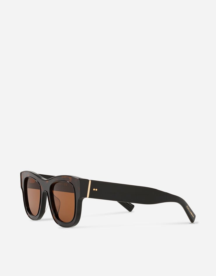 Dolce & Gabbana Domenico deep sunglasses Havana VG4379VP973