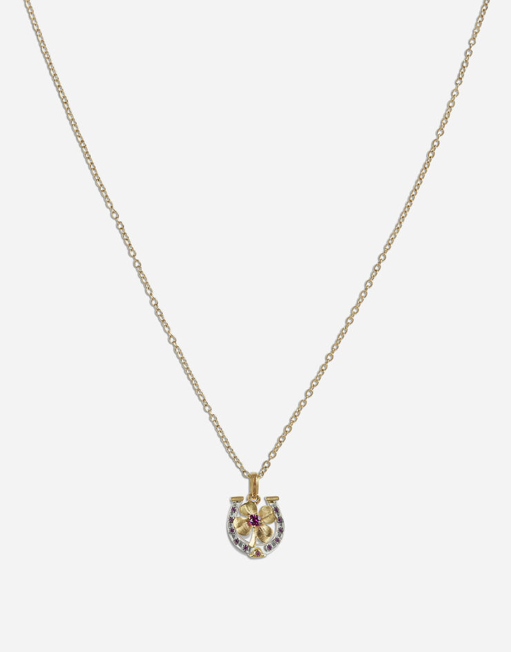 Dolce & Gabbana Necklace with good luck charm Gold WAKG1GWRUB1