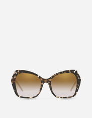 Dolce & Gabbana Sicilian Taste sunglasses Leo print VG4417VP38G