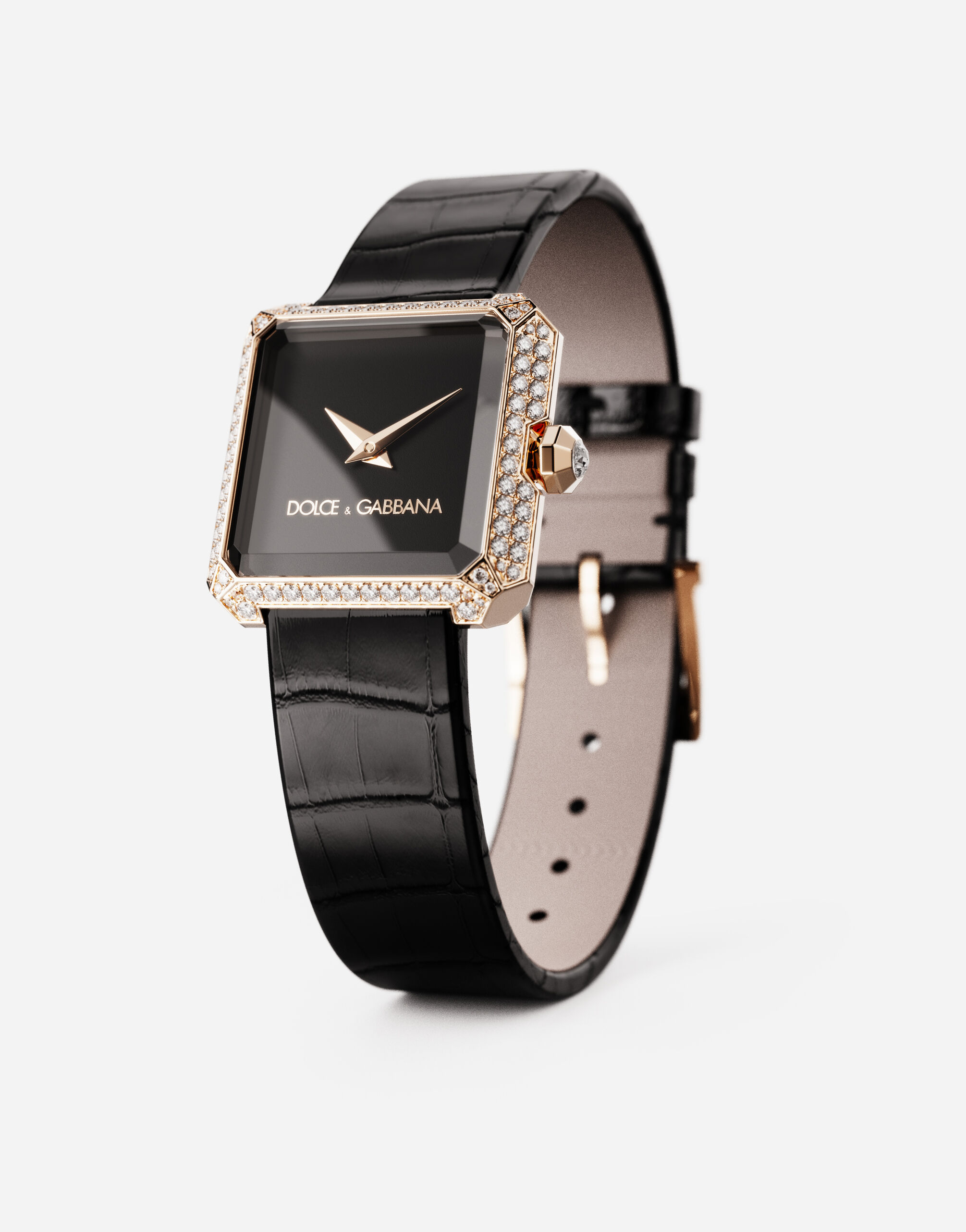 Dolce & cheap gabbana watch