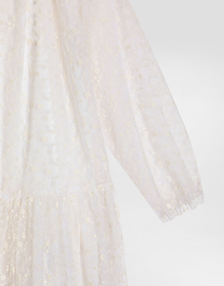 Dolce & Gabbana Kleid aus besticktem Tüll Mehrfarbig L53DO7FGMGE