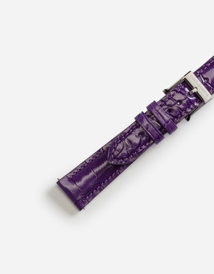 Dolce & Gabbana Alligator strap with buckle and hook in steel Purple WSFE2LXLAC1