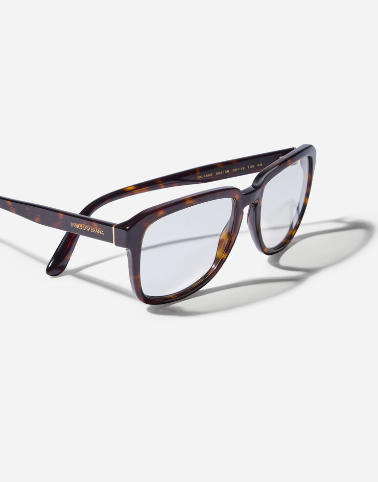 Dolce & Gabbana Everyday Sunglasses Dolce & Gabbana Everyday Sunglasses Havana VG4566VP2SB