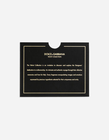 Dolce & Gabbana Velvet Collection Opulent Discovery Set - VT02ZQVT000