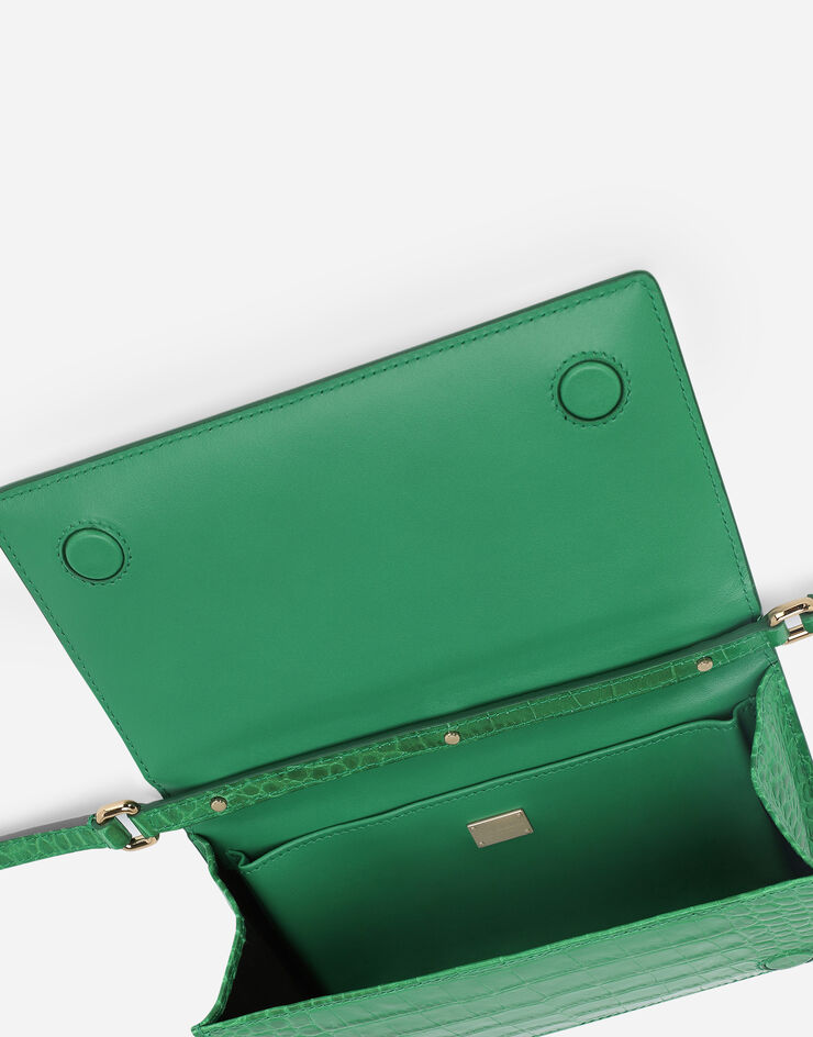 Dolce & Gabbana Phone bag with branded maxi-plate Green BI3149AC606