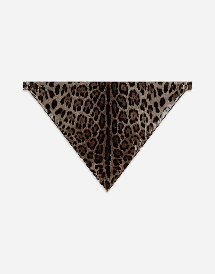 Dolce & Gabbana Треугольная вуаль из атласа с пропиткой и леопардовым принтом Отпечатки FS309AFSRNH
