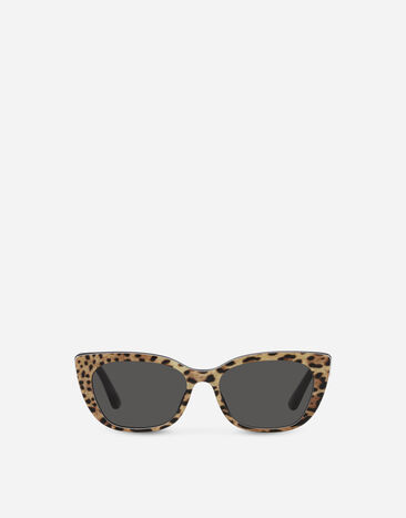 Dolce & Gabbana Gafas de sol Mini Me Estampado De Leopardo VG442CVP387