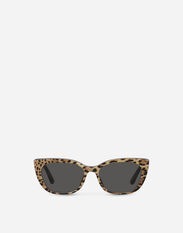 Dolce & Gabbana Mini Me Sunglasses Multicolor LB3L58G7KU4