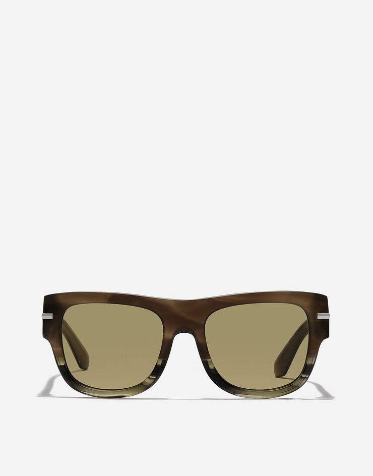 Dolce & Gabbana Gafas de sol DG SIGNATURE Habana verde VG448AVP392