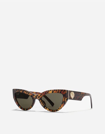 Dolce & Gabbana Devotion Sunglasses Leo transparent VG4536VP073