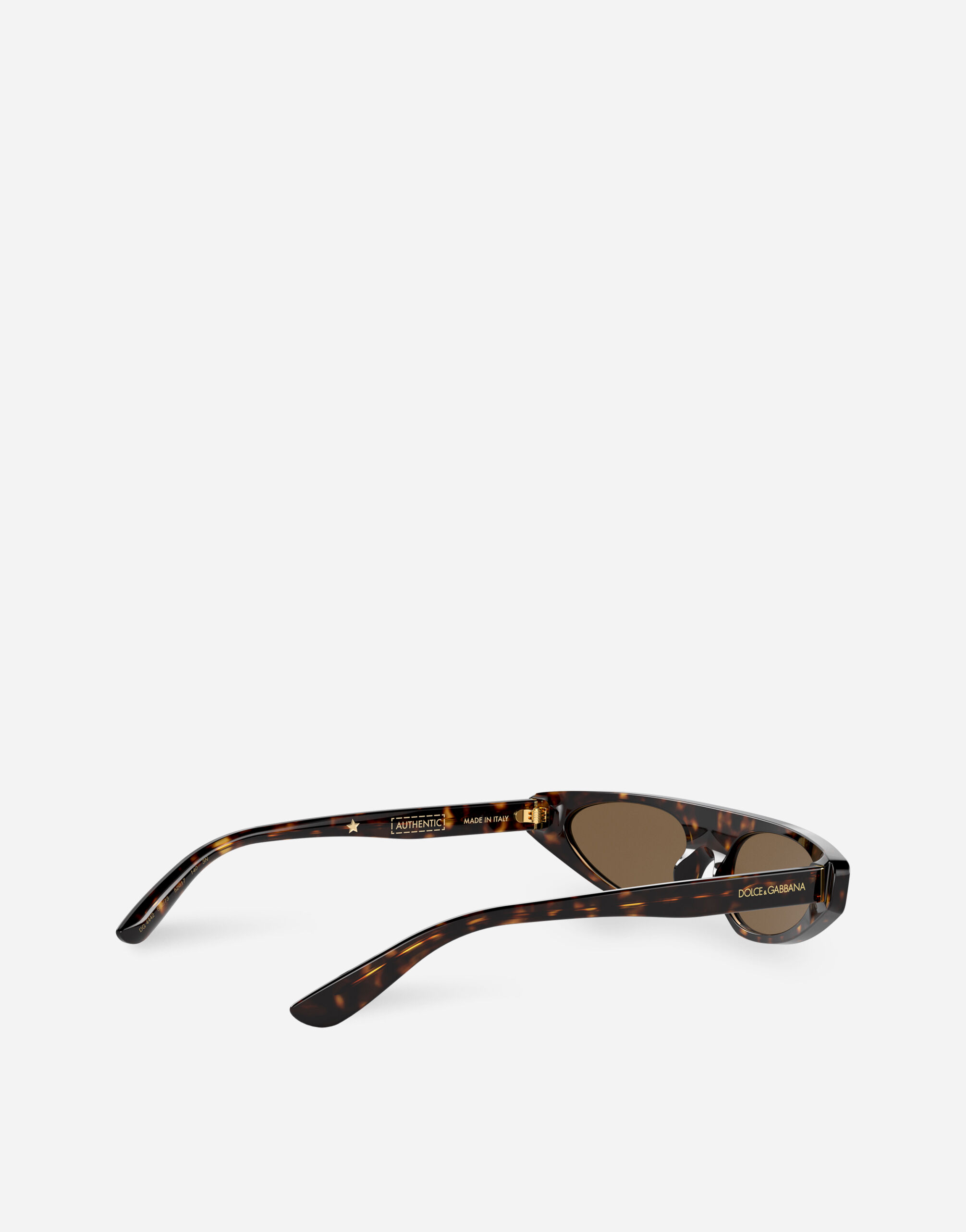 Dolce and gabbana havana sunglasses shop