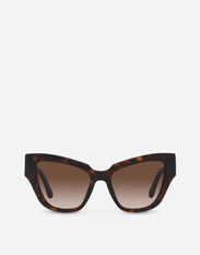 Dolce & Gabbana DG crossed sunglasses Transparent camel VG4467VP203