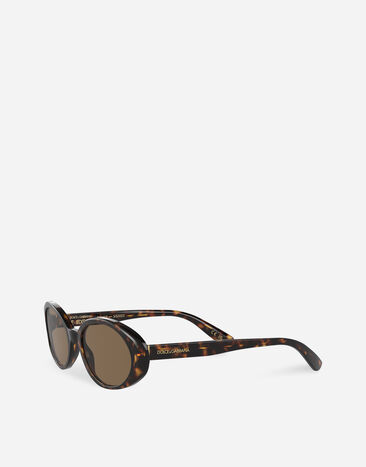 Dolce & Gabbana Gafas de sol Re-Edition | DNA Habana VG4443VP273