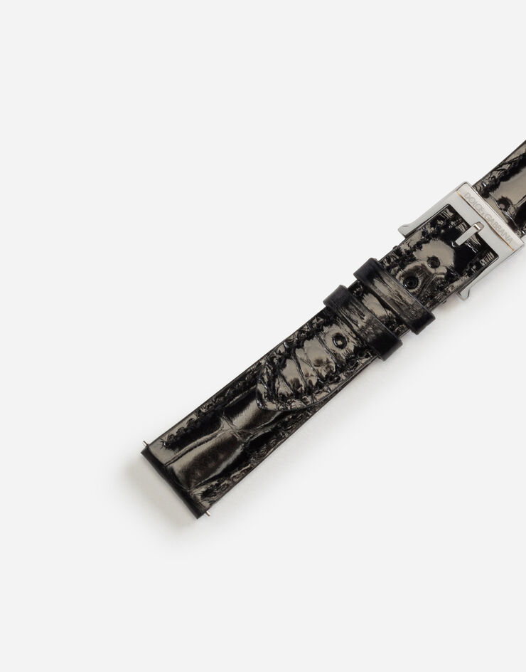 Dolce & Gabbana Cinturino in alligatore con fibbia ad ardiglione in acciaio Nero WSFE2LXLAC1