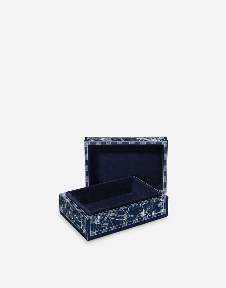 Dolce & Gabbana Kleine dekorierte Plexiglas-Box Dolce & Gabbana Kleine dekorierte Plexiglas-Box Mehrfarbig TCC202TCAMY