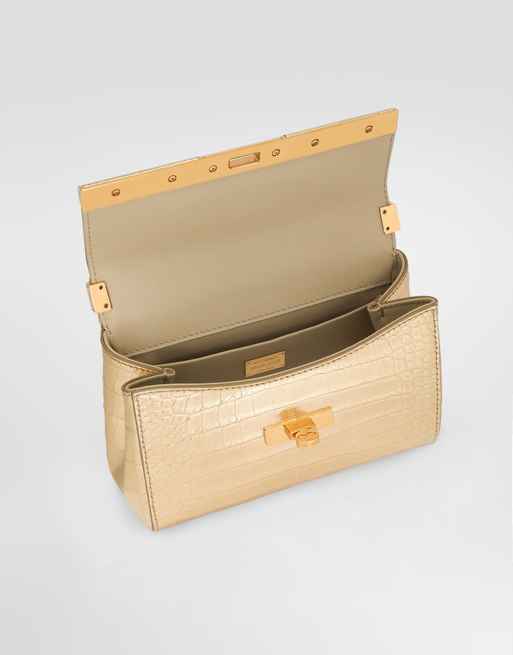 Dolce & Gabbana Mini Marlene City bag Gold BB7766A2C91