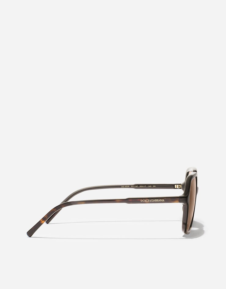 Dolce & Gabbana DG Everyday Sunglasses Havana VG4539VP273