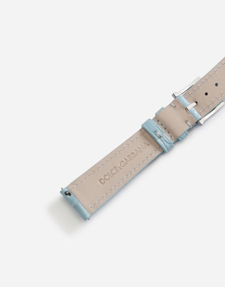 Dolce & Gabbana Alligator strap with buckle and hook in steel LIGHT BLUE WSFE2LXLAC1