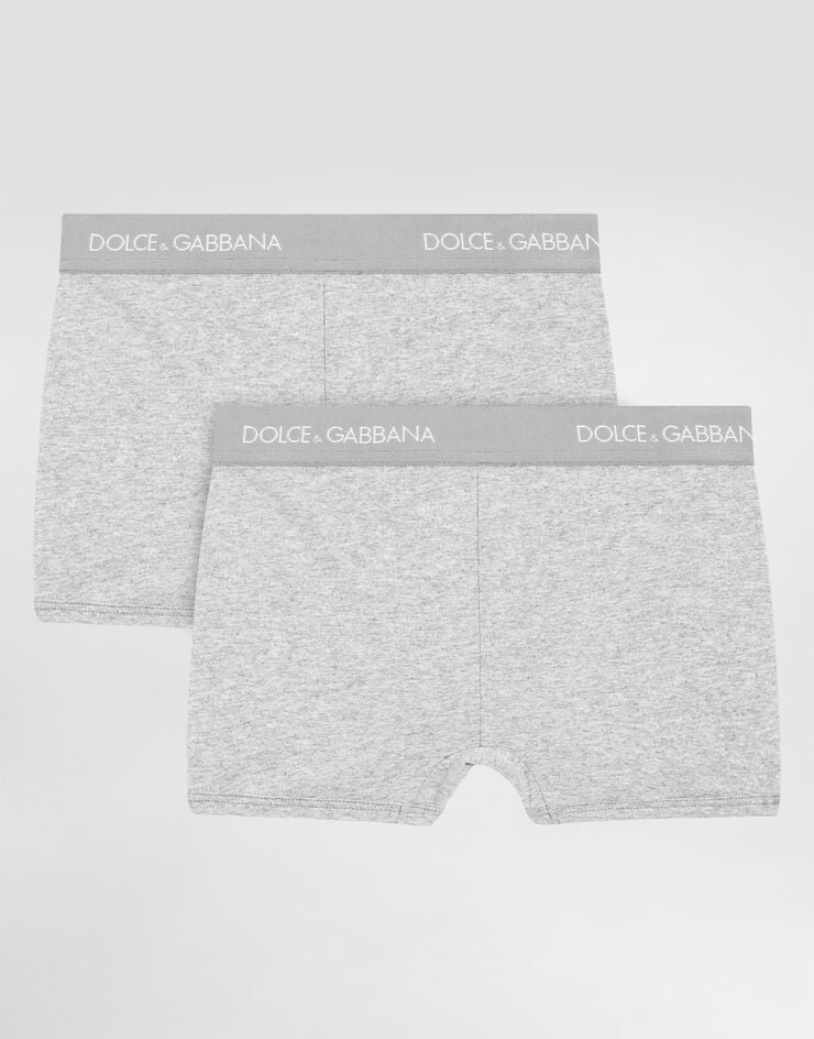 Dolce & Gabbana Boxer two-pack with branded elastic Grey L4J701ON00G