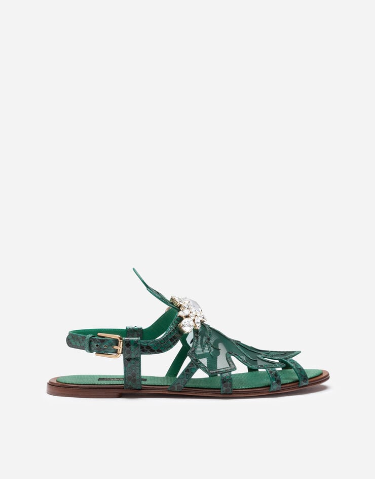 Dolce & Gabbana Sandals in python and mesh with bejeweled embroidery Dolce & Gabbana Sandals in python and mesh with bejeweled embroidery GREEN CQ0402A2V46