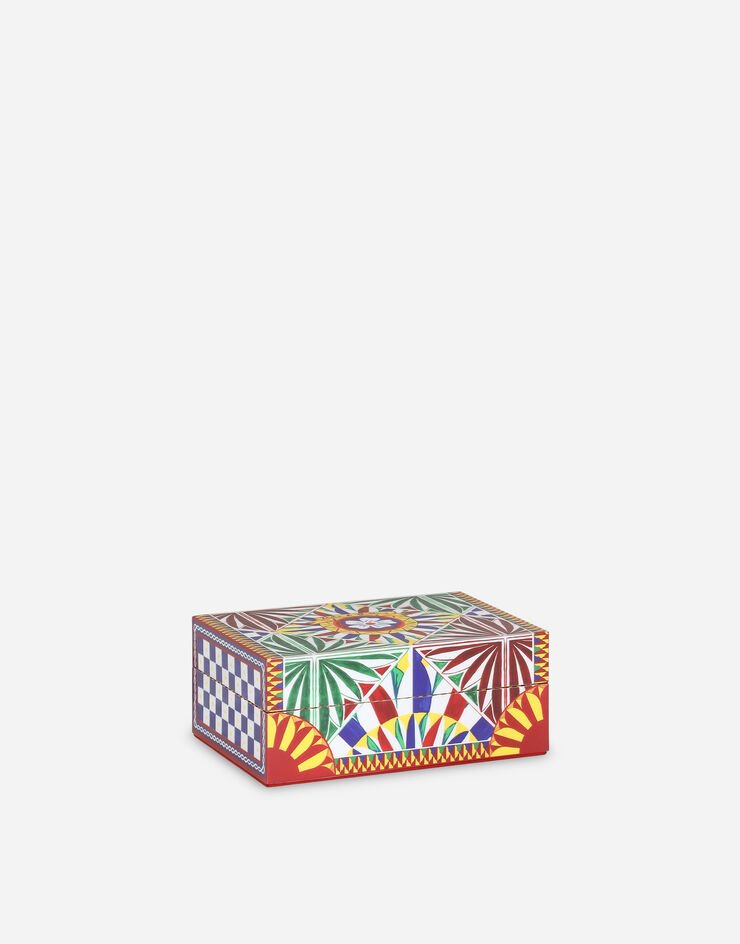 Dolce & Gabbana Small Decorated Plexiglass Box Multicolor TCC202TCAMY