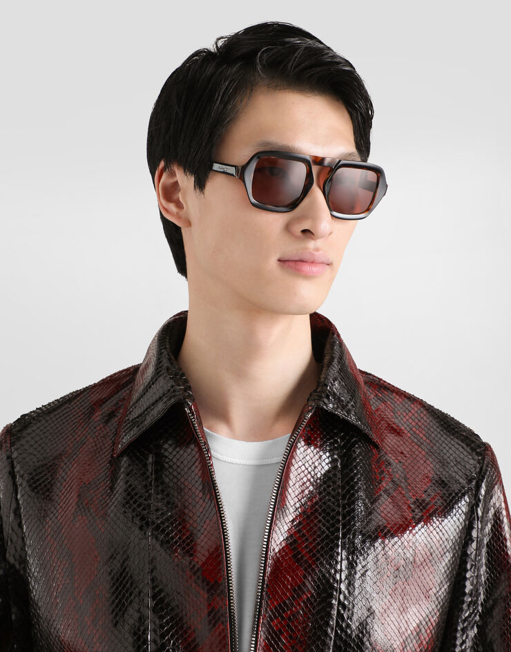 Dolce & Gabbana Migjorn python jacket Multicolor G9CFWLHUL11